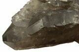 Massive, Double-Terminated Natural Smoky Quartz Crystal - Brazil #219223-2